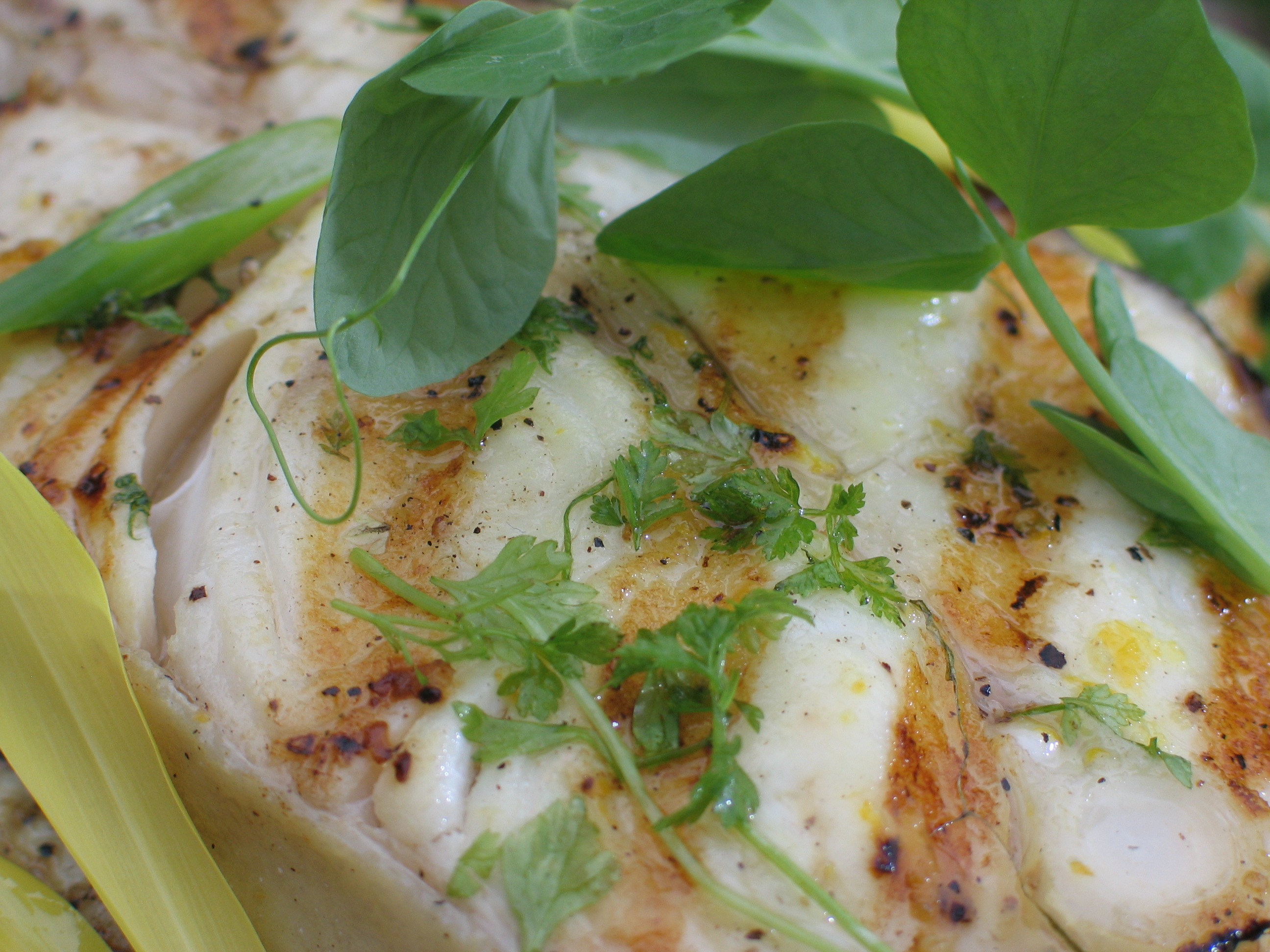 Grilled Halibut with a Mango-ginger Chutney