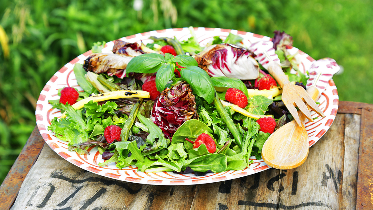 Grilled Raddichio Salad