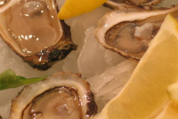 malpeque oysters appetizer